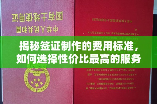 屯门揭秘签证制作的费用标准，如何选择性价比最高的服务？